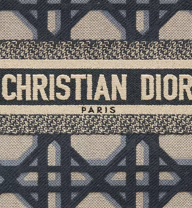 SMALL DIOR BOOK TOTE